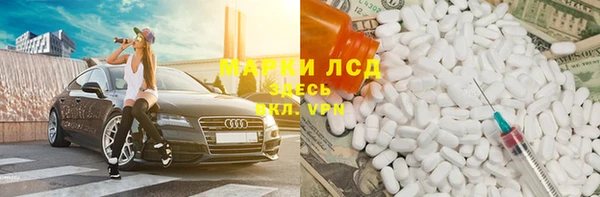крисы Бородино