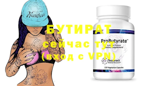 крисы Бородино