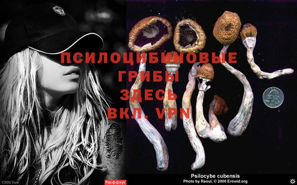 MESCALINE Бугульма