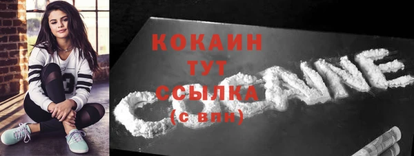 крисы Бородино