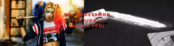 крисы Бородино