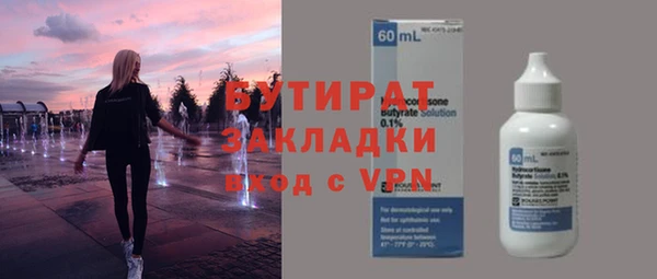крисы Бородино