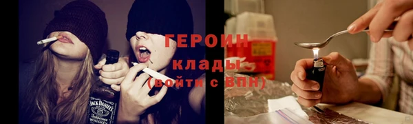 крисы Бородино