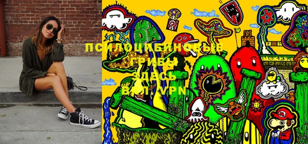 крисы Бородино