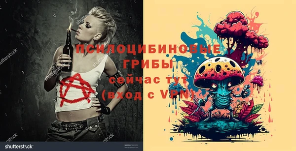 крисы Бородино