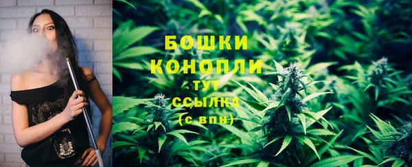 крисы Бородино