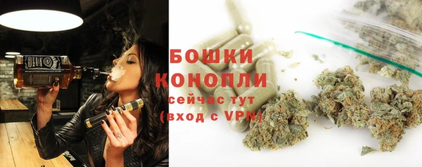 крисы Бородино