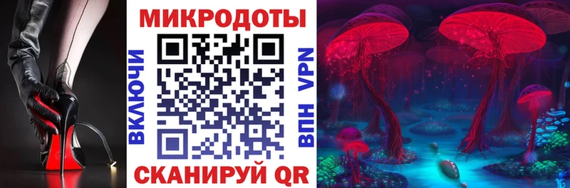 Псилоцибиновые грибы Cubensis  Купить где  Вологда 